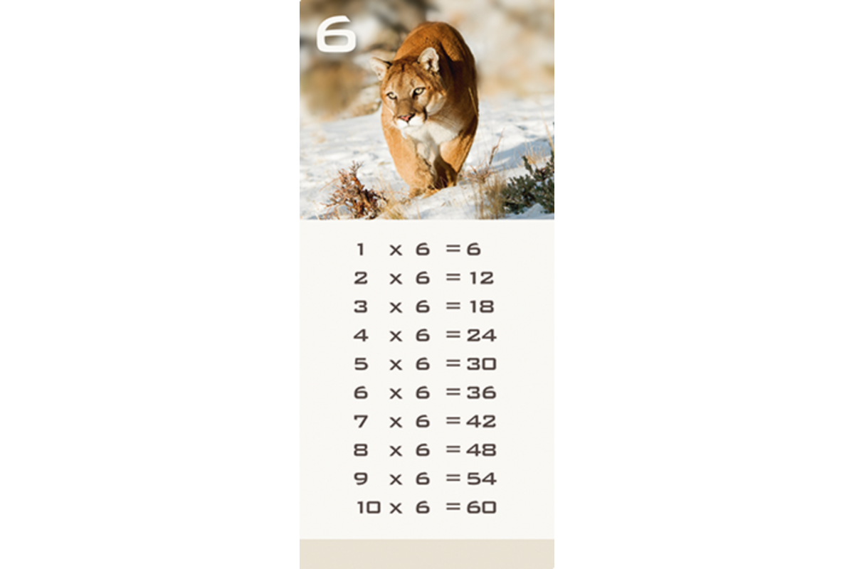 Tafelkaartjes Werelddieren 3022 12 motieven, 120 stuks