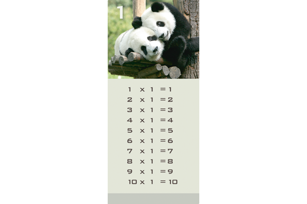 Tafelkaartjes Werelddieren 3022 12 motieven, 120 stuks