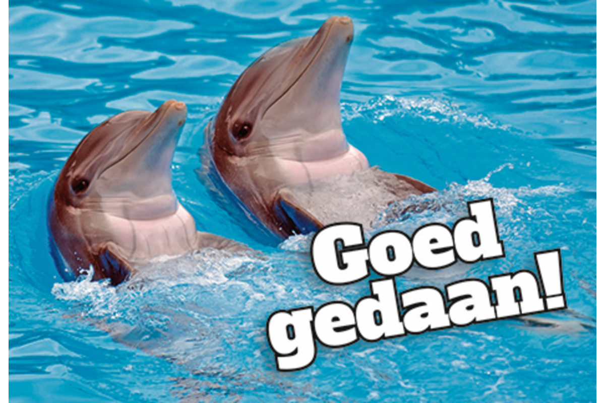 Beloningskaarten Motivatiedieren 4567, 6 motieven, 96 stuks