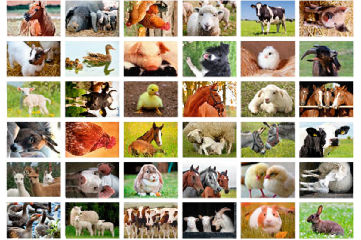 Beloningsstickers 408 boerderijdieren, 36 motieven, 720 stuks