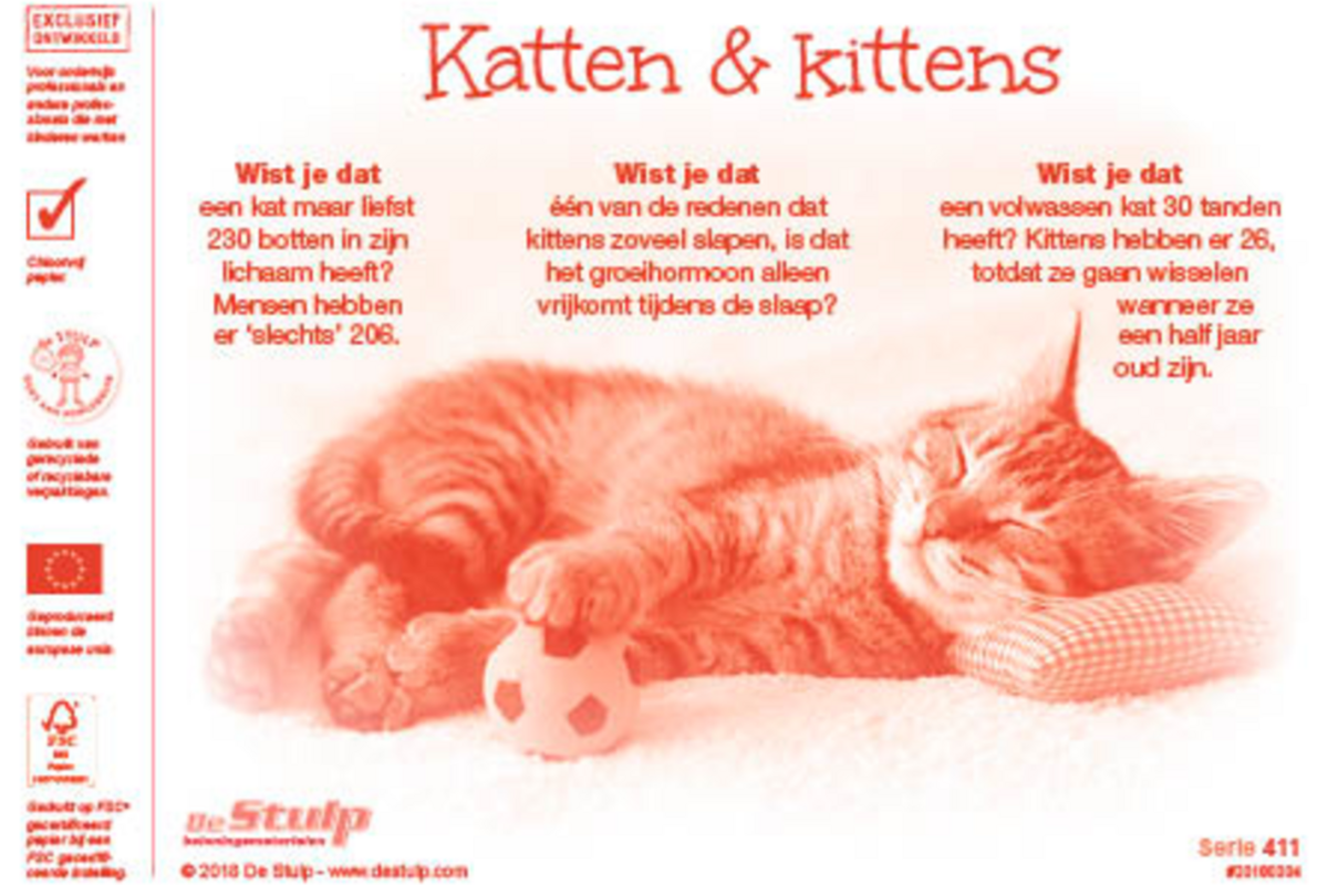 Beloningsstickers 411 Poezenportretten, 40 motieven, 800 stuks