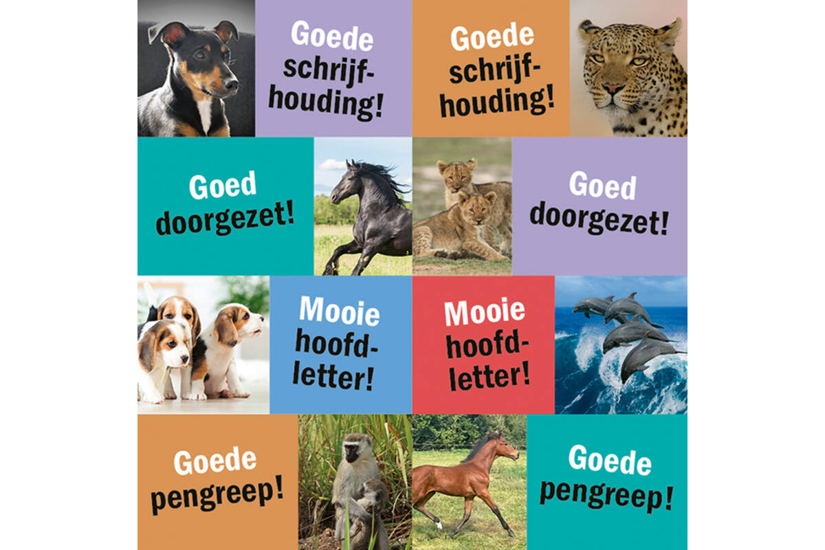 Beloningsstickers 127 Schrijf plezier 24 motieven, 480 stickers