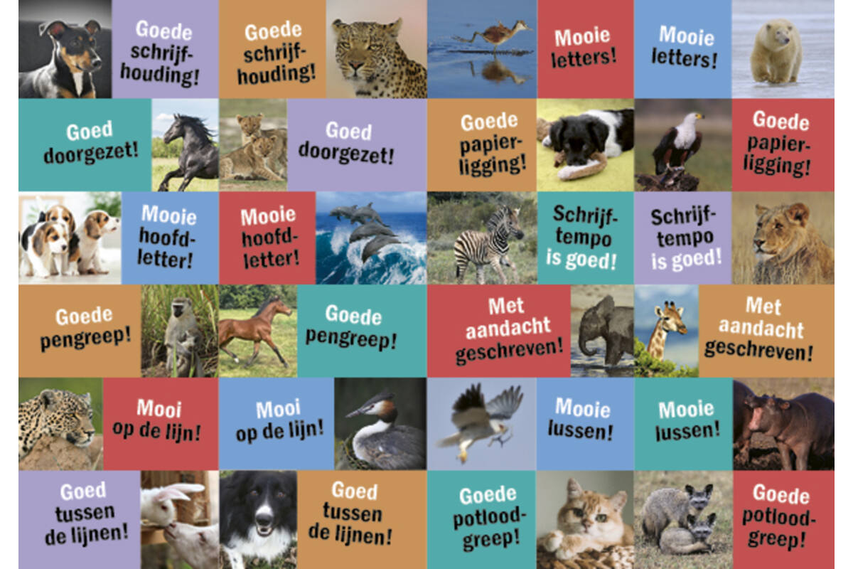 Beloningsstickers 127 Schrijf plezier 24 motieven, 480 stickers