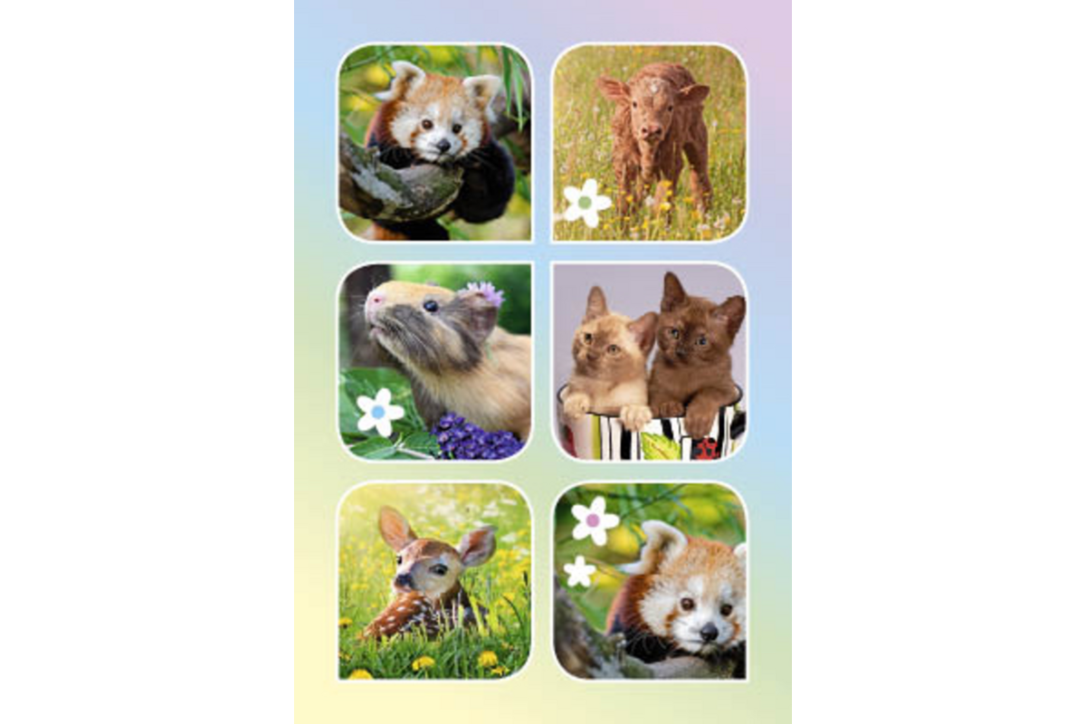 Beloningskaarten 4598 Lieve Lentediertjes,6 motieven, 96 stuks