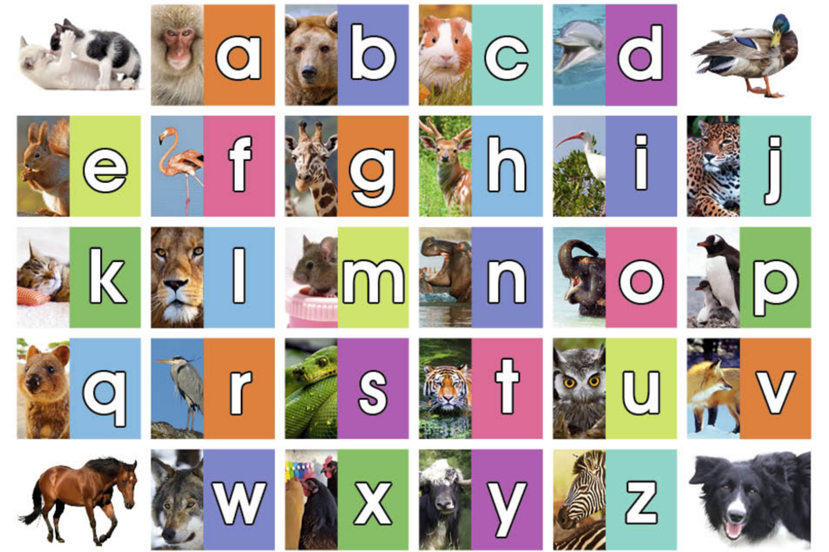 Beloningsstickers 467 Het Dieren ABC, 30 motieven, 600 stuks