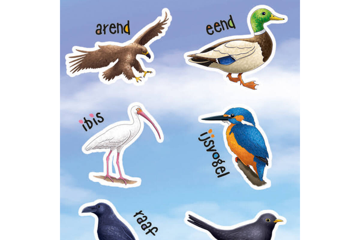 Beloningsstickers 149 Vogels 36 motieven, 720 stuks