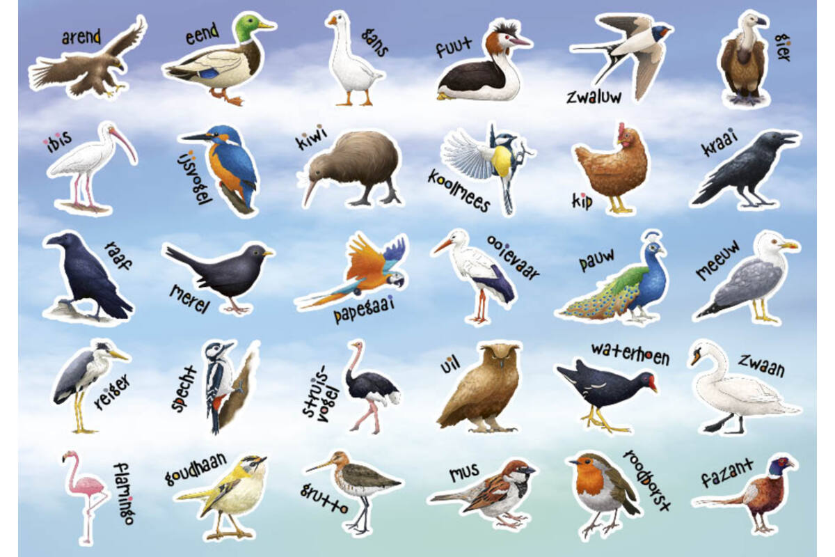 Beloningsstickers 149 Vogels 36 motieven, 720 stuks