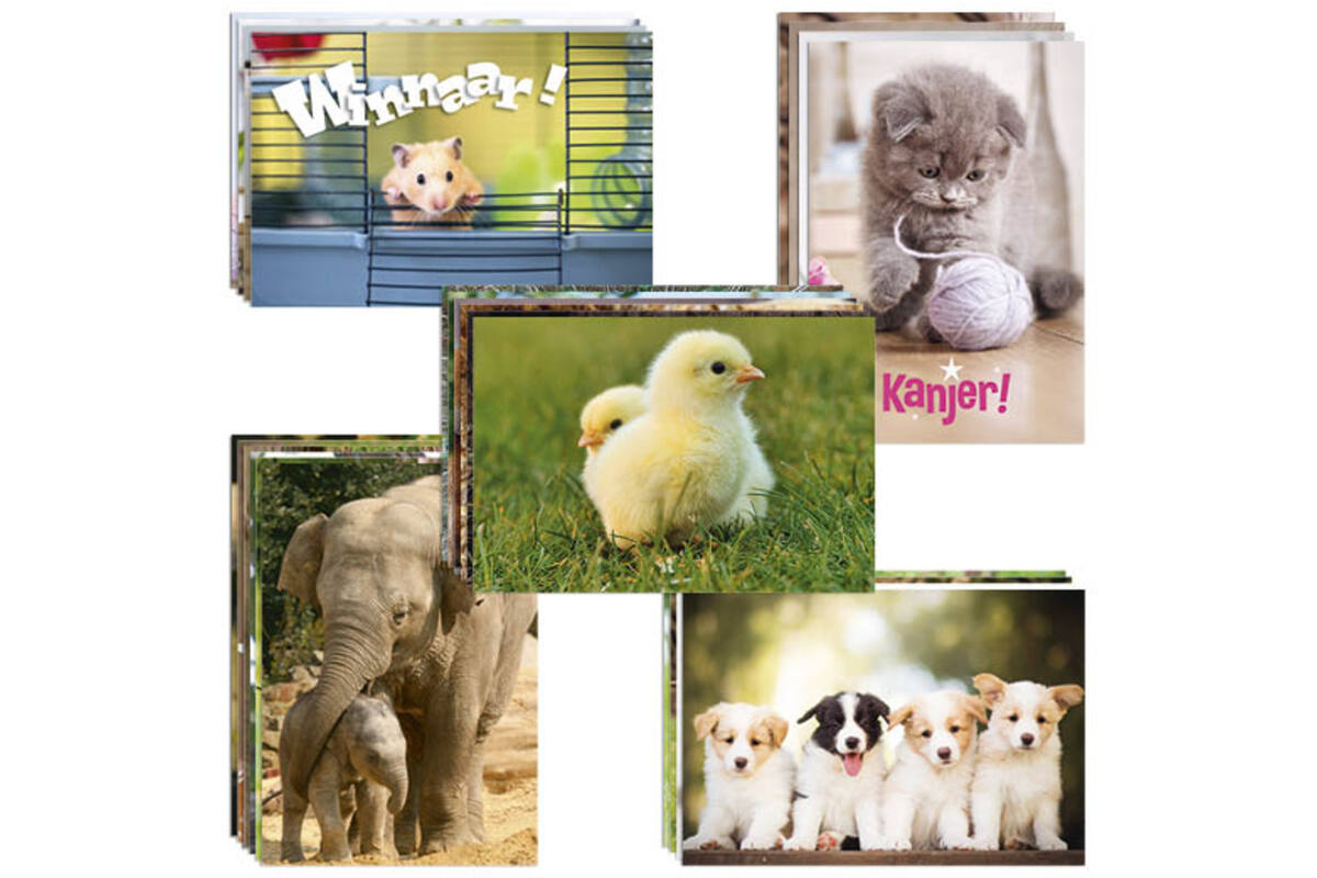 Beloningskaarten snelbestelpakket Dieren 8301, 20 mot. 480 st.