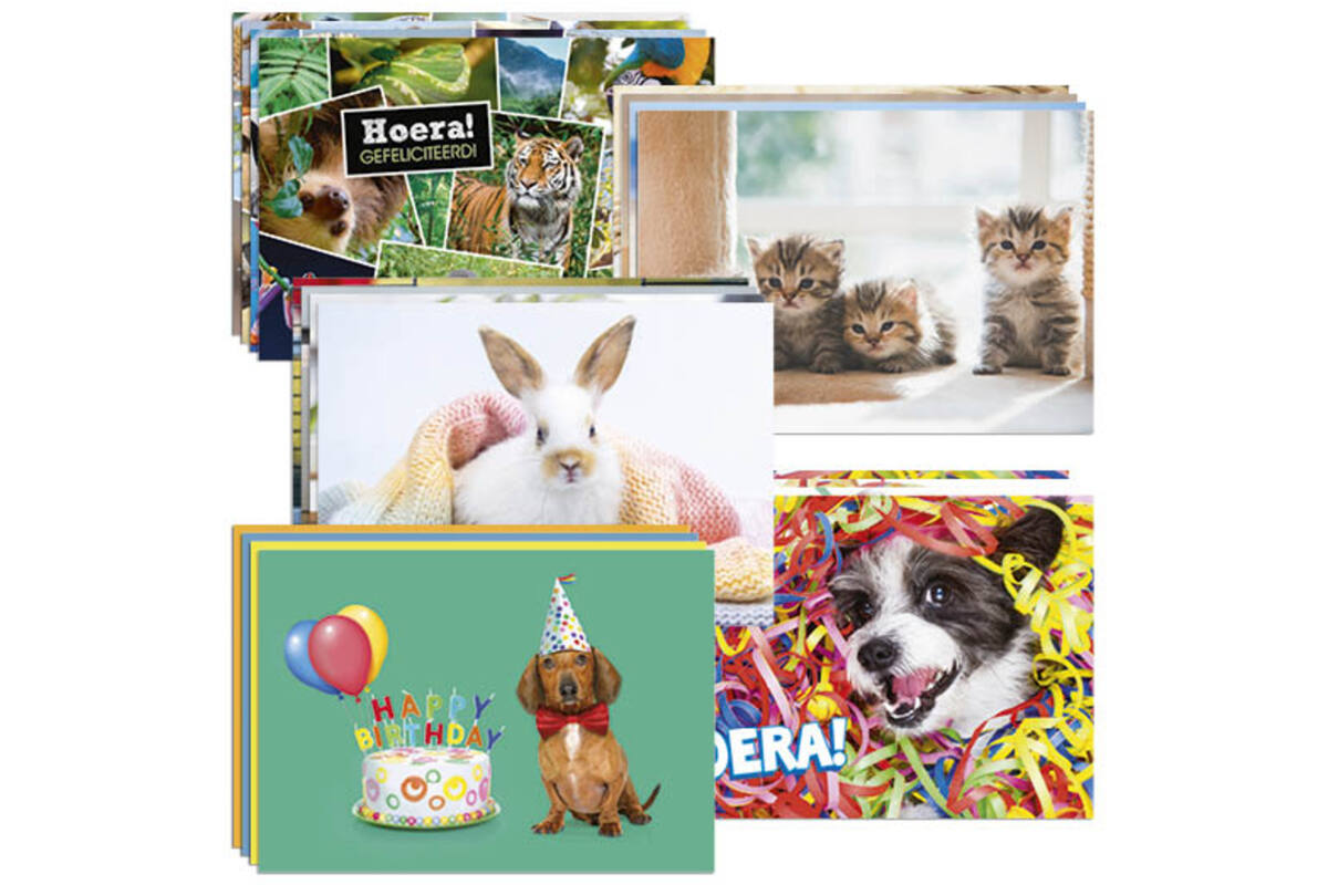 Ansichtkaarten snelbestelpakket Dieren 20-24 mot. 240 st.