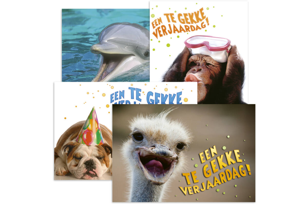 Miniposters Grappige Dieren 991 4 motieven, 20 stuks