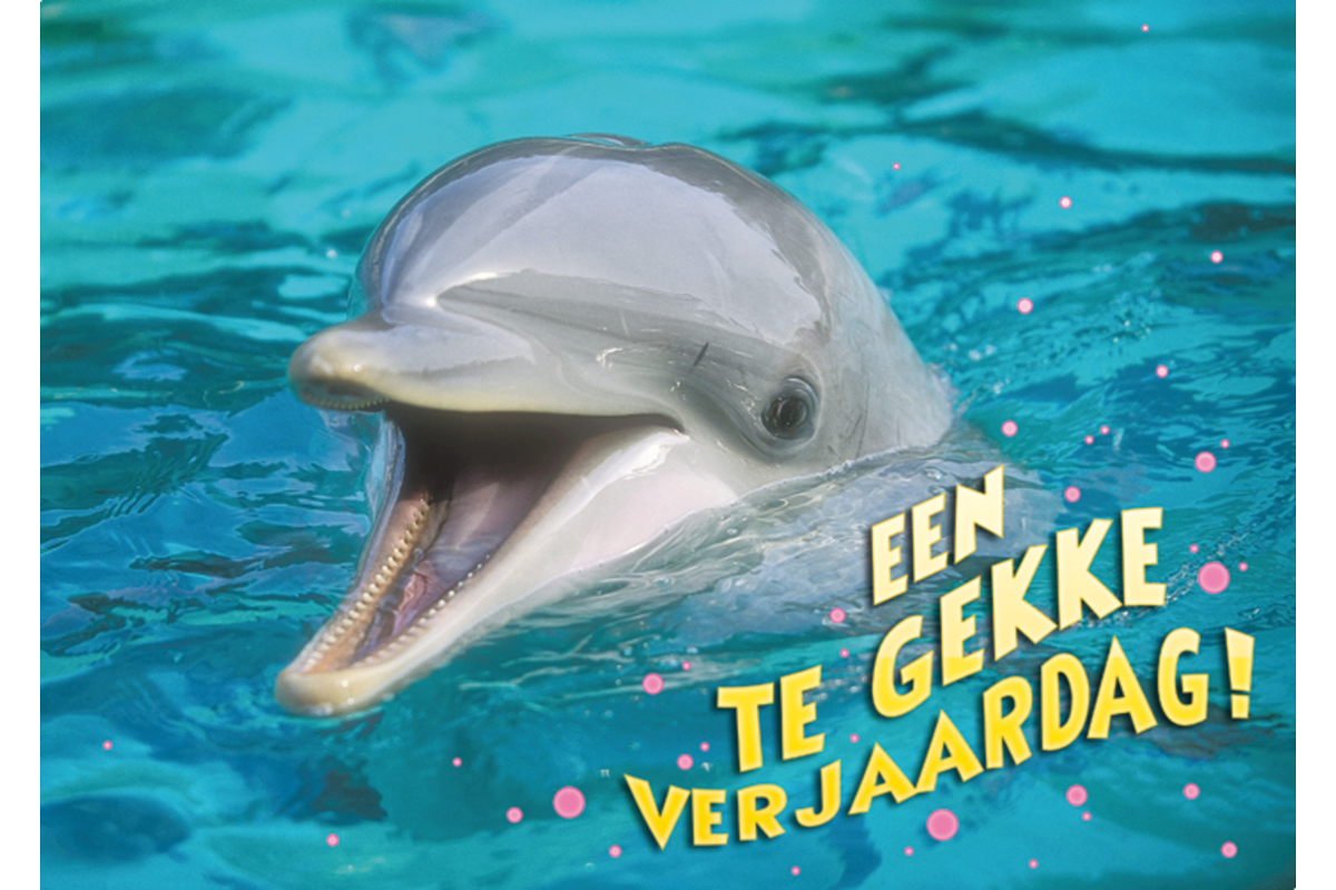 Miniposters Grappige Dieren 991 4 motieven, 20 stuks