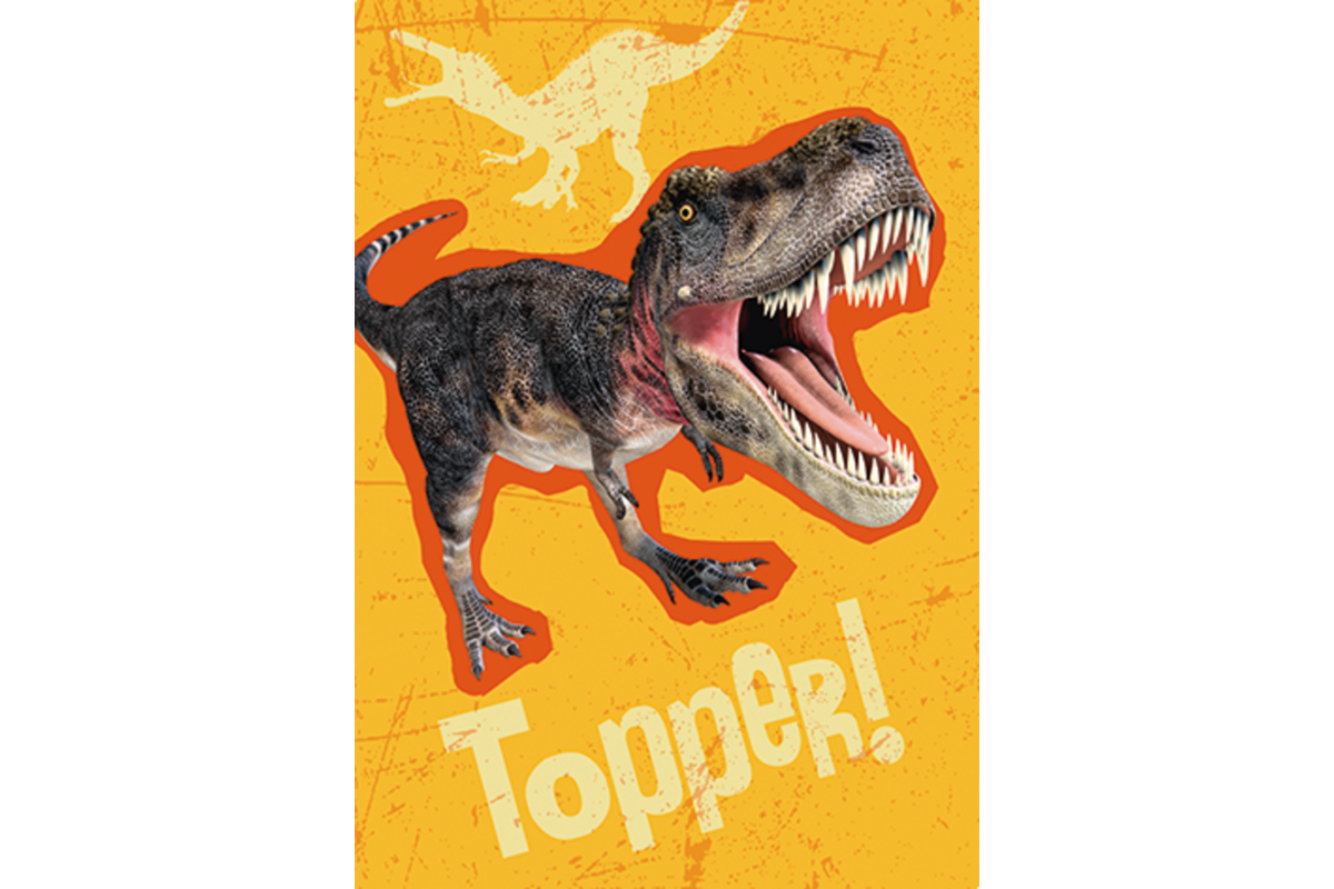 Beloningskaarten Dino's 4552 4 motieven, 96 stuks
