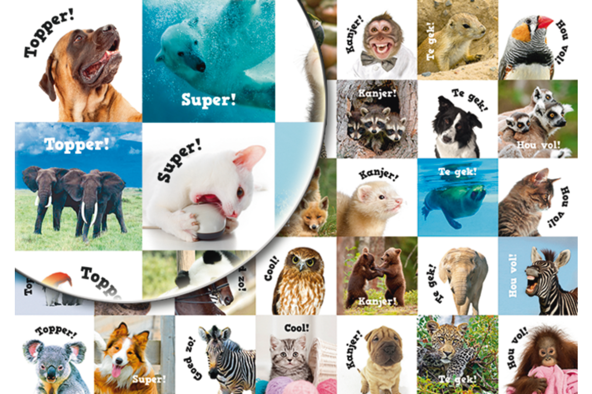 Beloningsstickers Motivatiedieren 359, 35 motieven, 700 stuks
