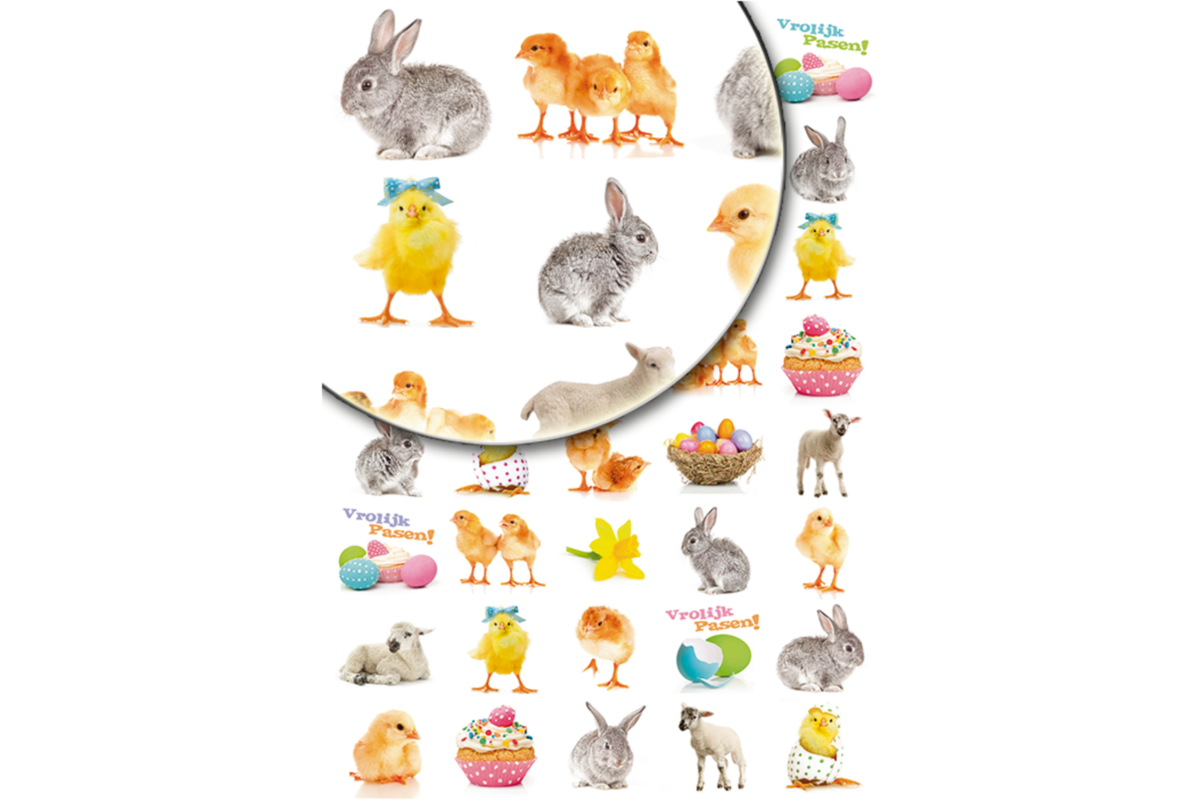Beloningsstickers Paasdieren 381 40 motieven, 800 stuks