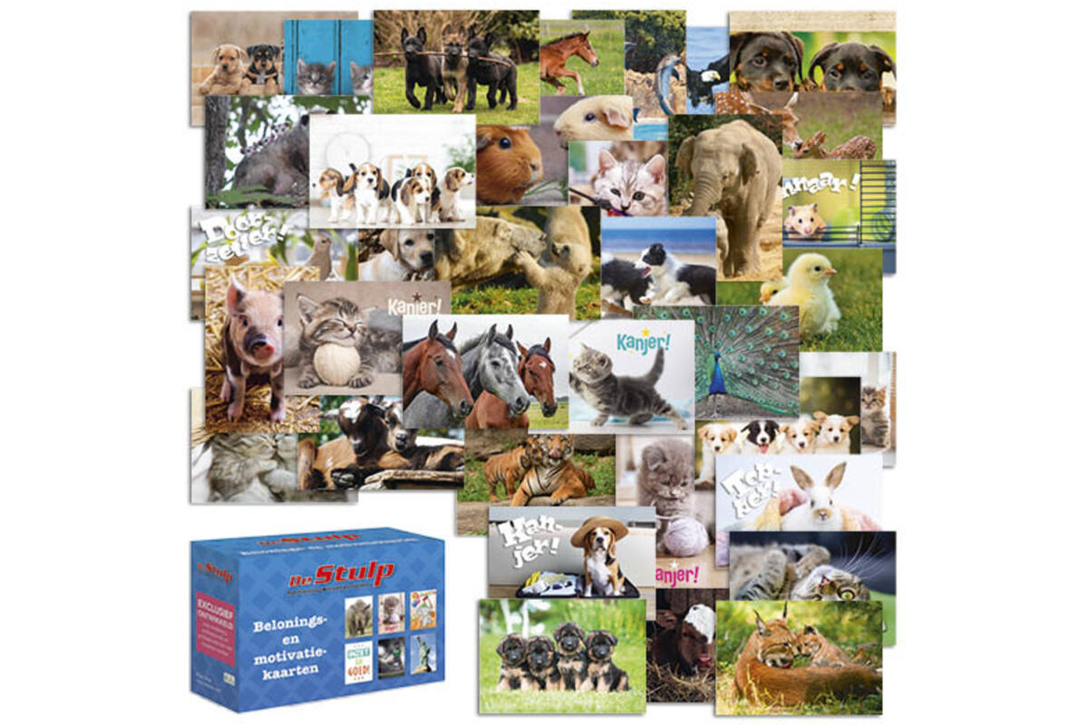 Beloningskaarten Dieren mix 4701 36 motieven, 72 stuks