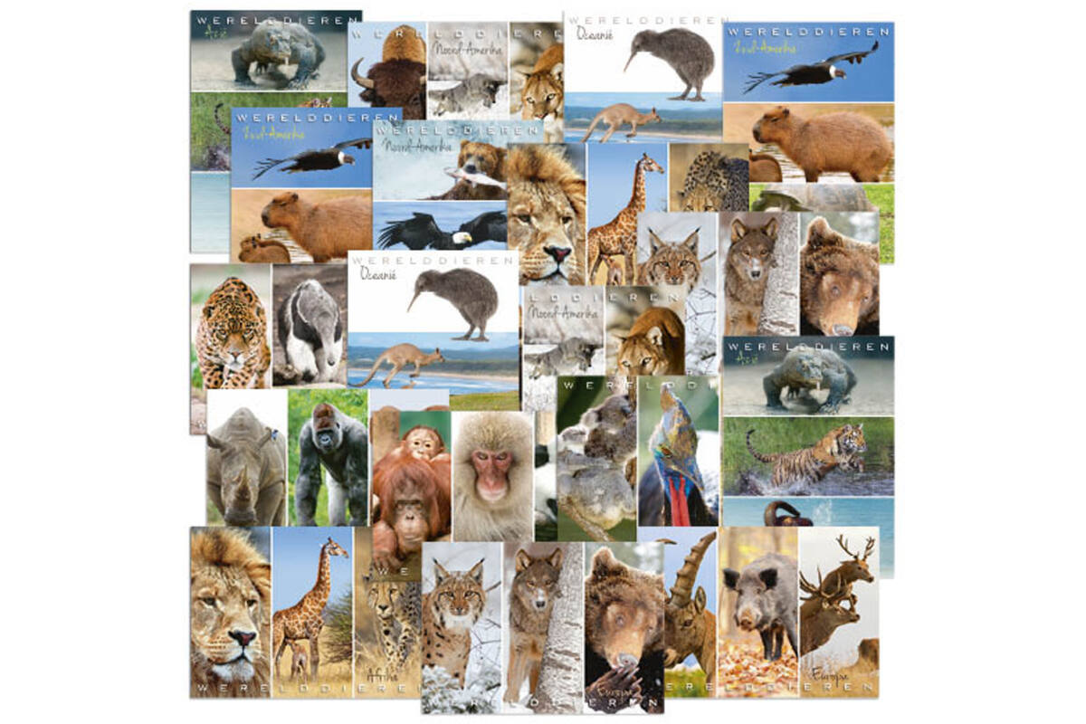 Miniposters Wereldieren Mix 1105, 12 motieven, 18 stuks
