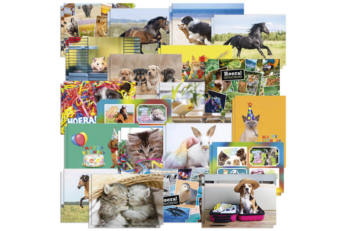 Ansichtkaarten 5401 Dieren Mix, 20 motieven, 40 stuks
