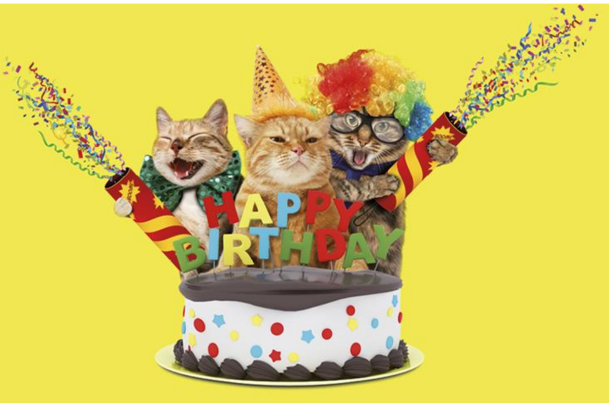 Miniposter 1086 Party animals 4 motieven, 20 stuks