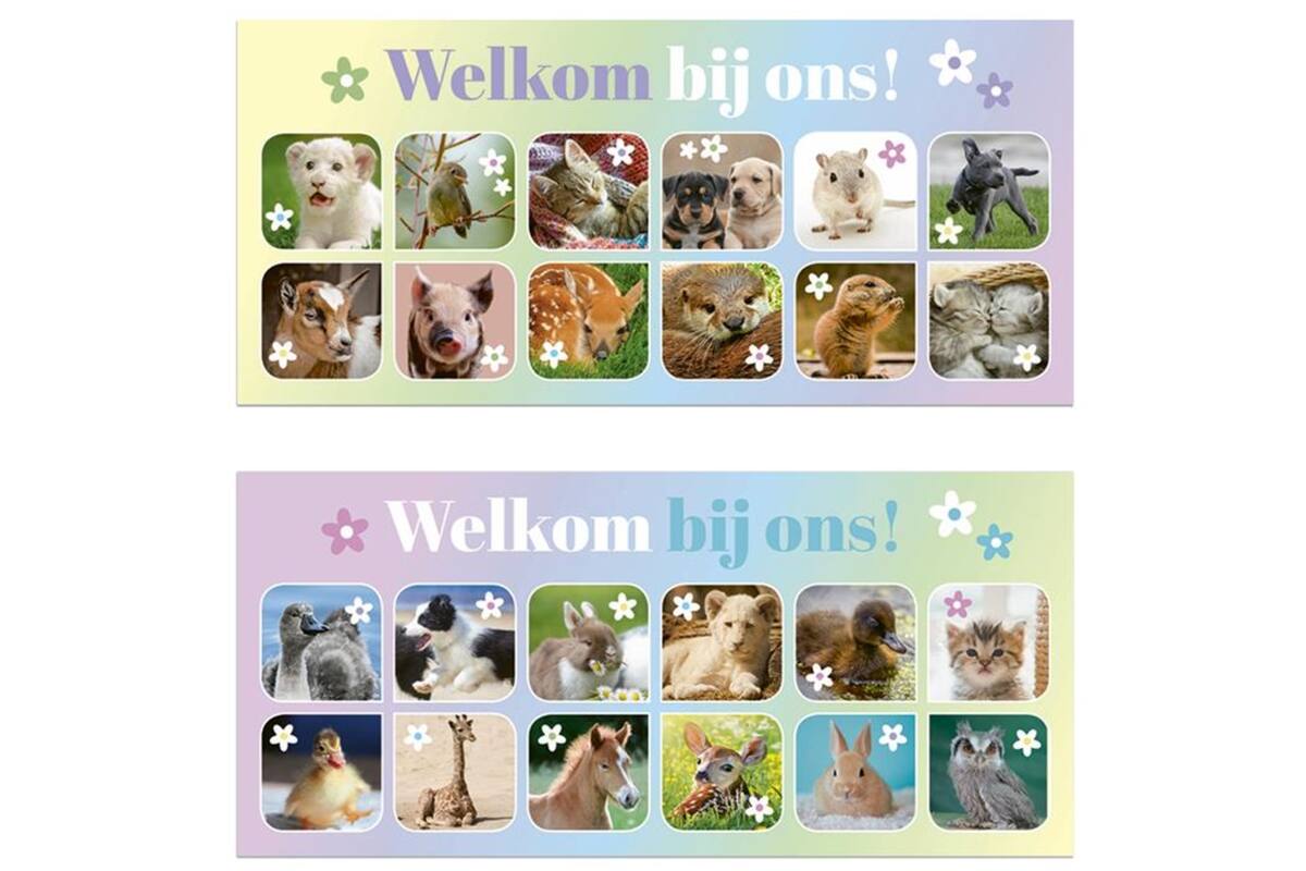 Oproepkaarten 5291 algemeen Lente Diertjes, 2 motieven, 25 stuks