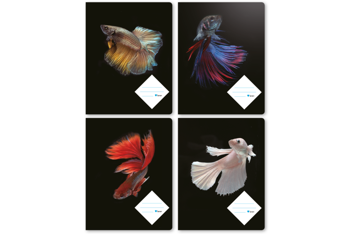Schriften 24 lijnen, vissen, 16,5 x 21 cm, 80 gr (25 stuks)
