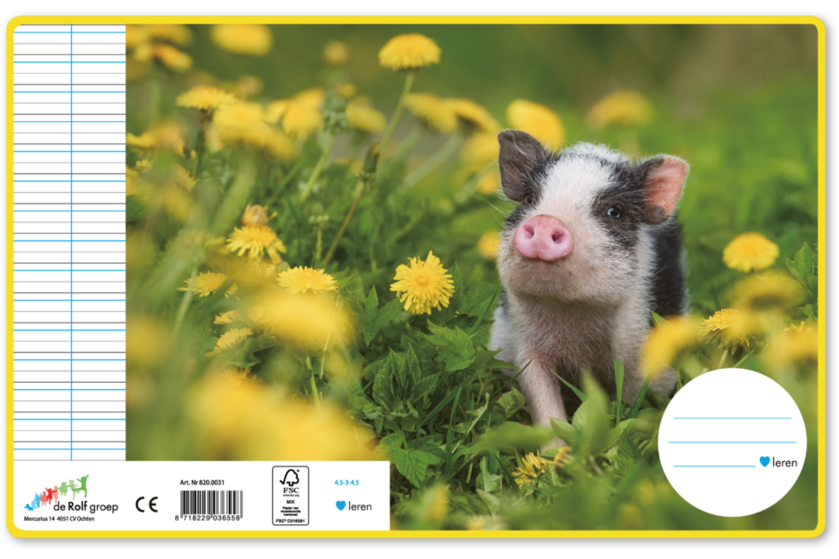 Schriften 4,5-3-4,5, jonge dieren, 16,5 x 21 cm, 80 gr (25 stuks)