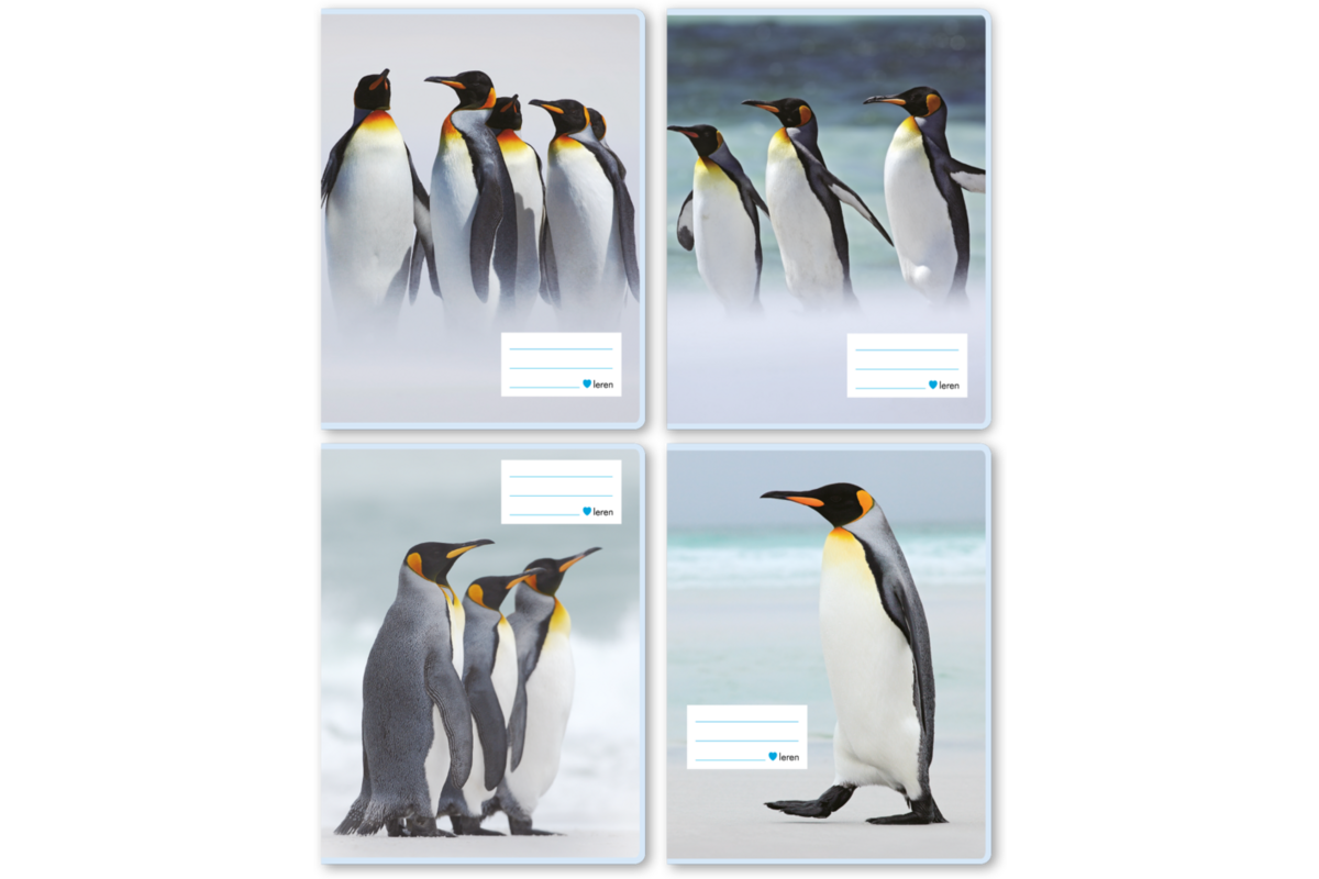 Schriften 6-4-6, pinguïns, 16,5 x 21 cm, 80 gr (25 stuks)