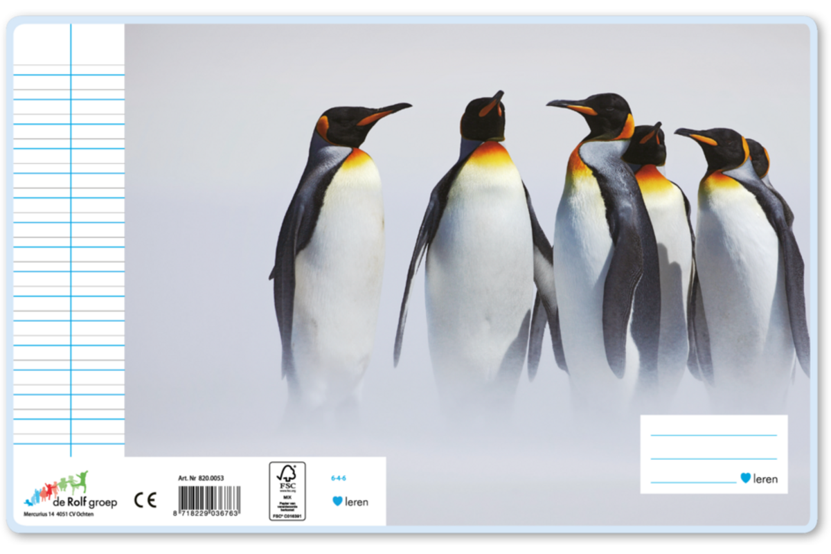 Schriften 6-4-6, pinguïns, 16,5 x 21 cm, 80 gr (25 stuks)