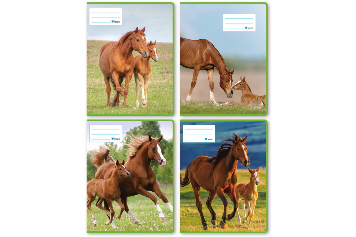 Schriften 6-4-6, paarden met jong, 16,5 x 21 cm, 80 gr (25 stuks)