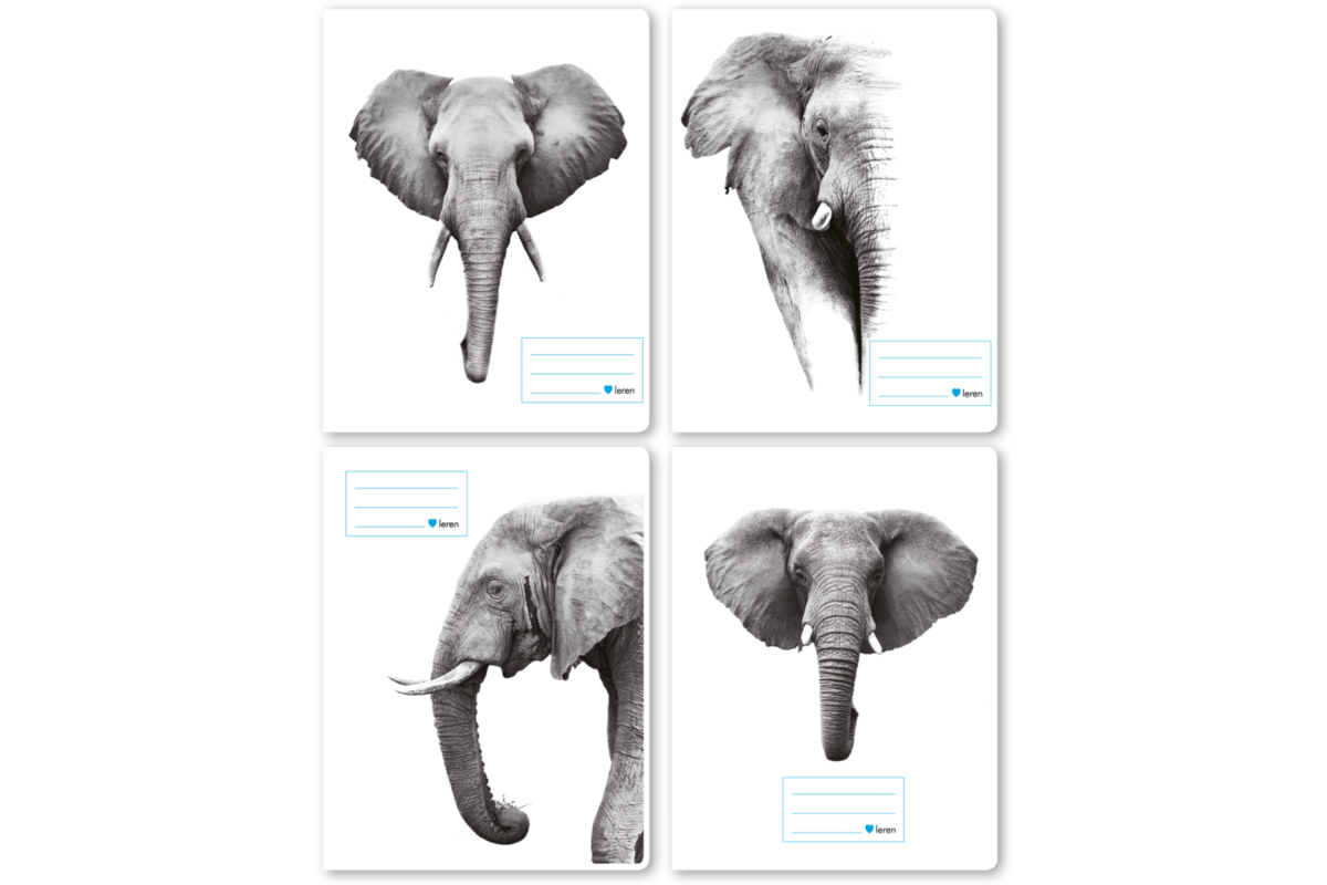Schriften 7,5-5-7,5, olifant, 16,5 x 21 cm, 80 gr (25 stuks)