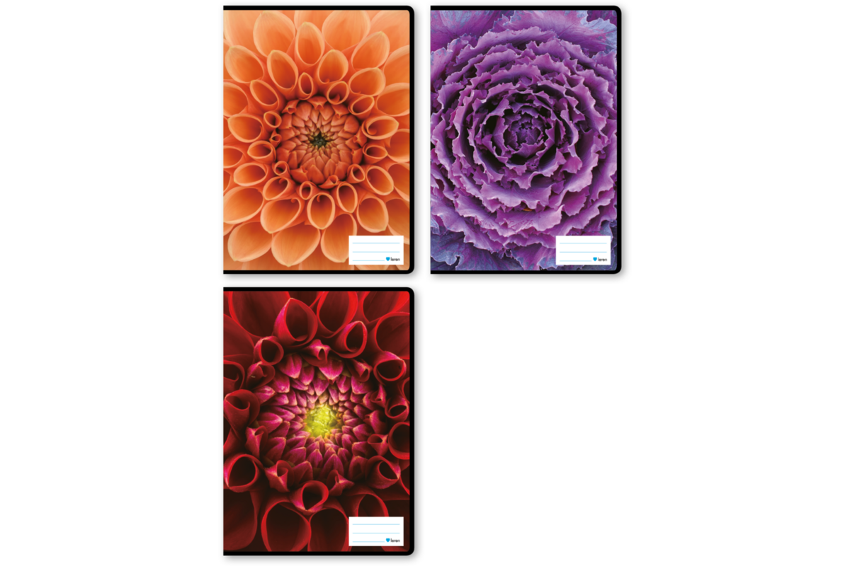 Schriften ruit 10x10 mm, bloemen, 21 x 29,7 cm (A4), 80 gr (25 stuks)
