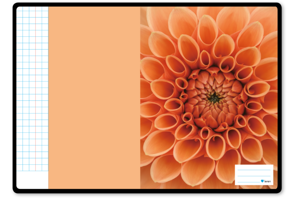 Schriften ruit 10x10 mm, bloemen, 21 x 29,7 cm (A4), 80 gr (25 stuks)