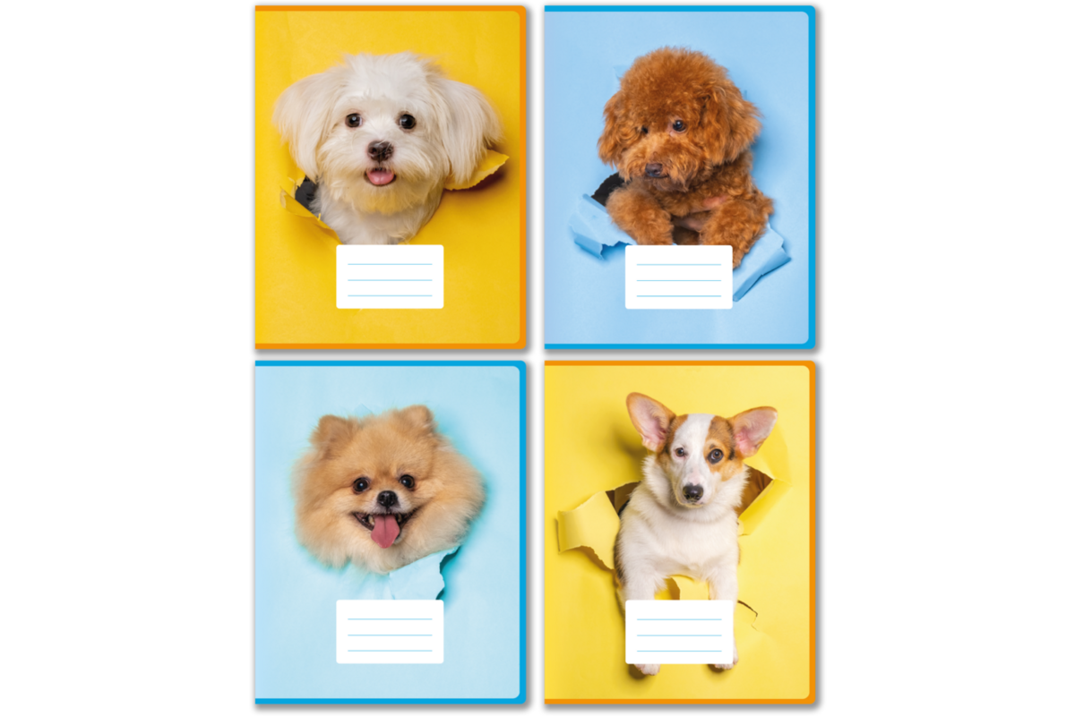 Projectschriften 6-4-6/blanco, hondjes, 16,5 x 21 cm, 80 gr (25 stuks)