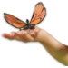 Jumbo insecten