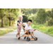 TopTrike Buggy