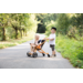 TopTrike Buggy