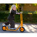 Rabo 7020 step midi