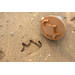 BS | Sand Stamps