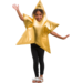 Verkleedkleding ster, 3-7 jaar