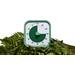 Time Timer® MOD Home Edition - Fern Green