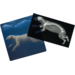 Ontdekkaarten röntgen arctische dieren 16,5 x 18 cm, 30 delig