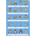 Elecfreaks – 32 IN 1 micro:bit Wonder Building Kit (zonder micro:bit) – [EF08239]