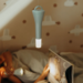 Kidywolf Flashlight - Multifunction flashlight