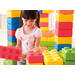 Bouwset - Brikkies - set van 45 assorti
