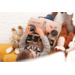 Small Foot - Houten Activiteitenbord Rotatie en Sloten