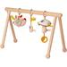 Babygym Earth