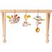 Babygym Earth
