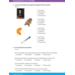 Kerndoeltrainer Getallen & Getalrelaties E (5 stuks)