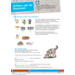 Kerndoeltrainer Tijdvak werkboek groep 8 (5 stuks)