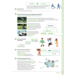 Kerndoeltrainer Woordenschat D