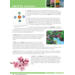 Blokboek natuur groep 8 (5 stuks)